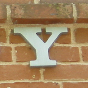Y
